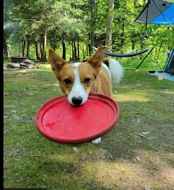 Dingmans Campground - Delaware Water Gap NRA