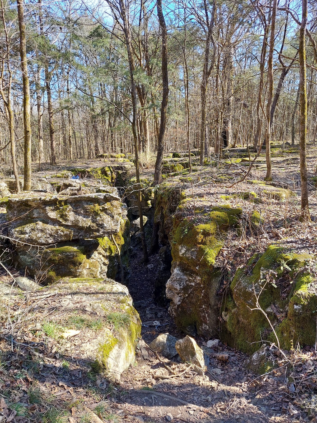 Henry Horton State Park