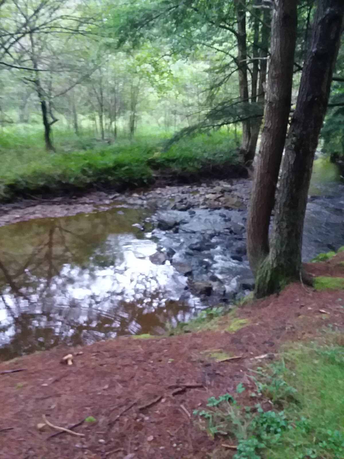 Kelly Pines Campground