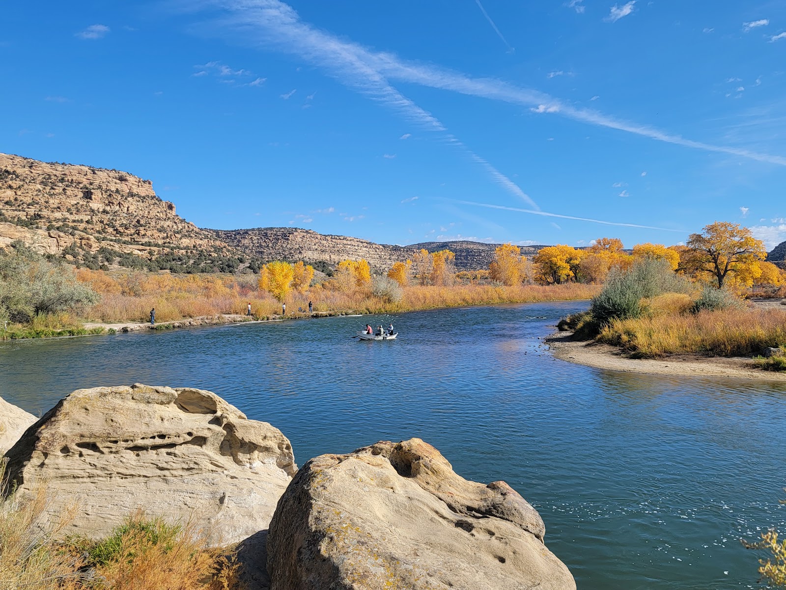 Cottonwood - Navajo Lake State Park