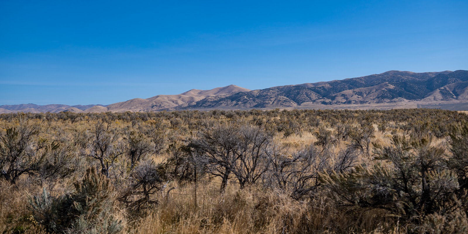 Curlew National Grasslands Campground