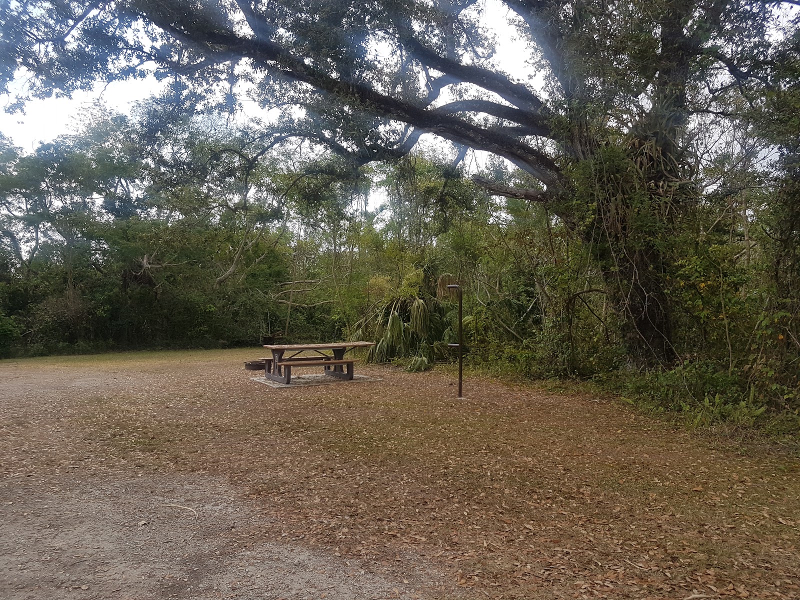Mitchells Landing - Big Cypress National