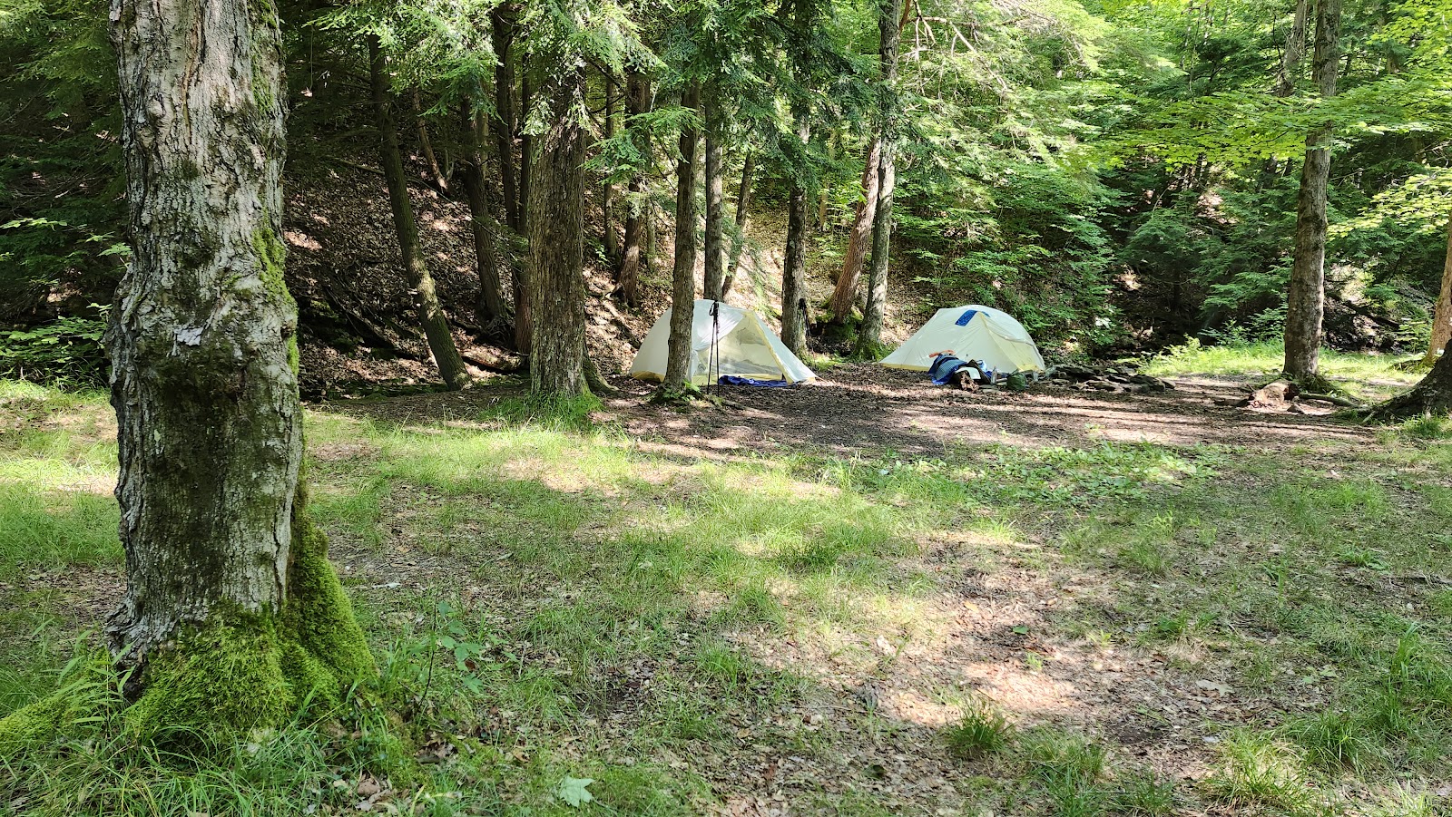 Minister Creek Campground