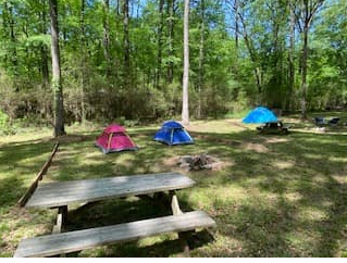 Ocmulgee WMA Camping