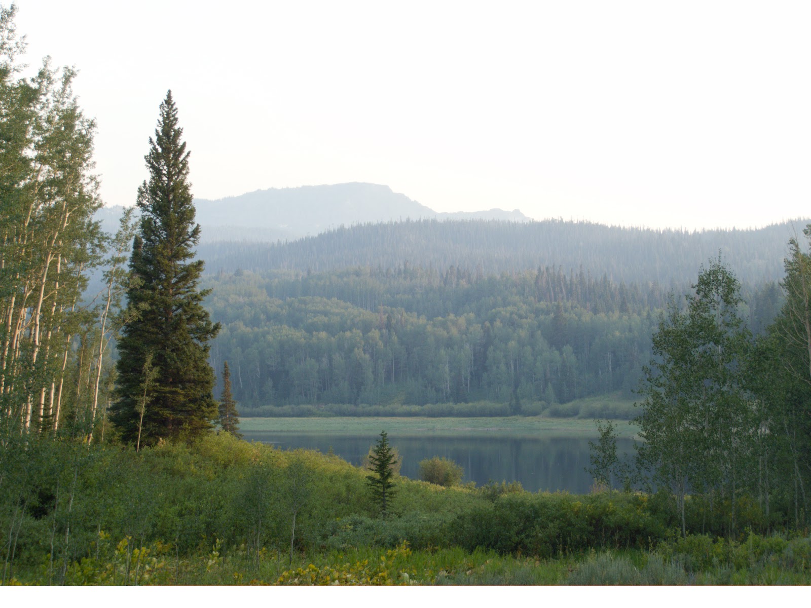Chapman Resevoir Campground