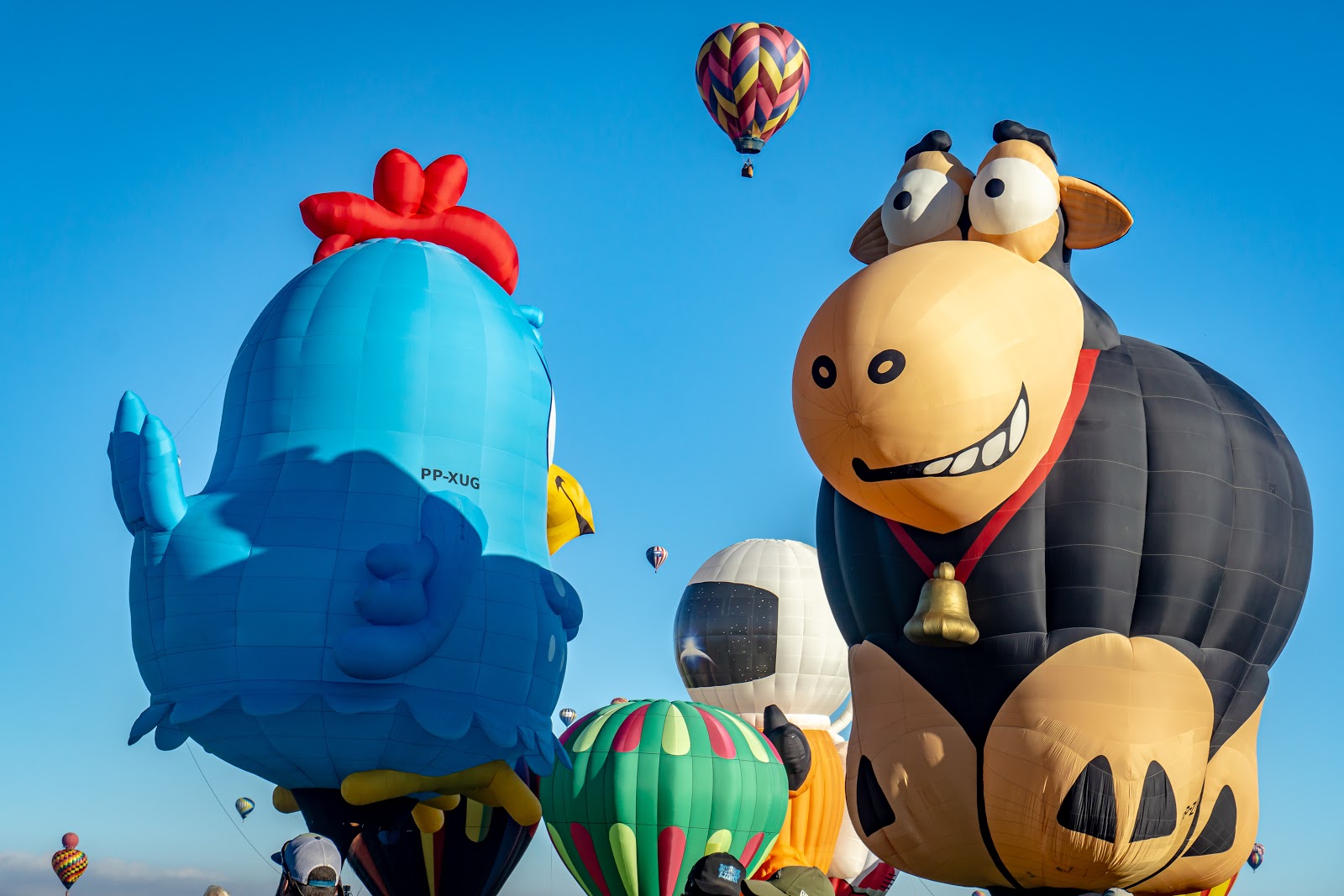Albuquerque Balloon Fiesta Park