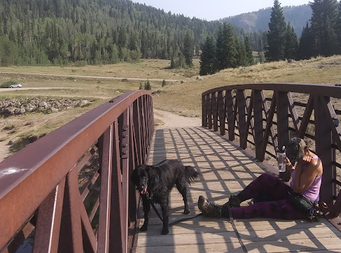 Big Meadows Reservoir Campground (South Central CO)