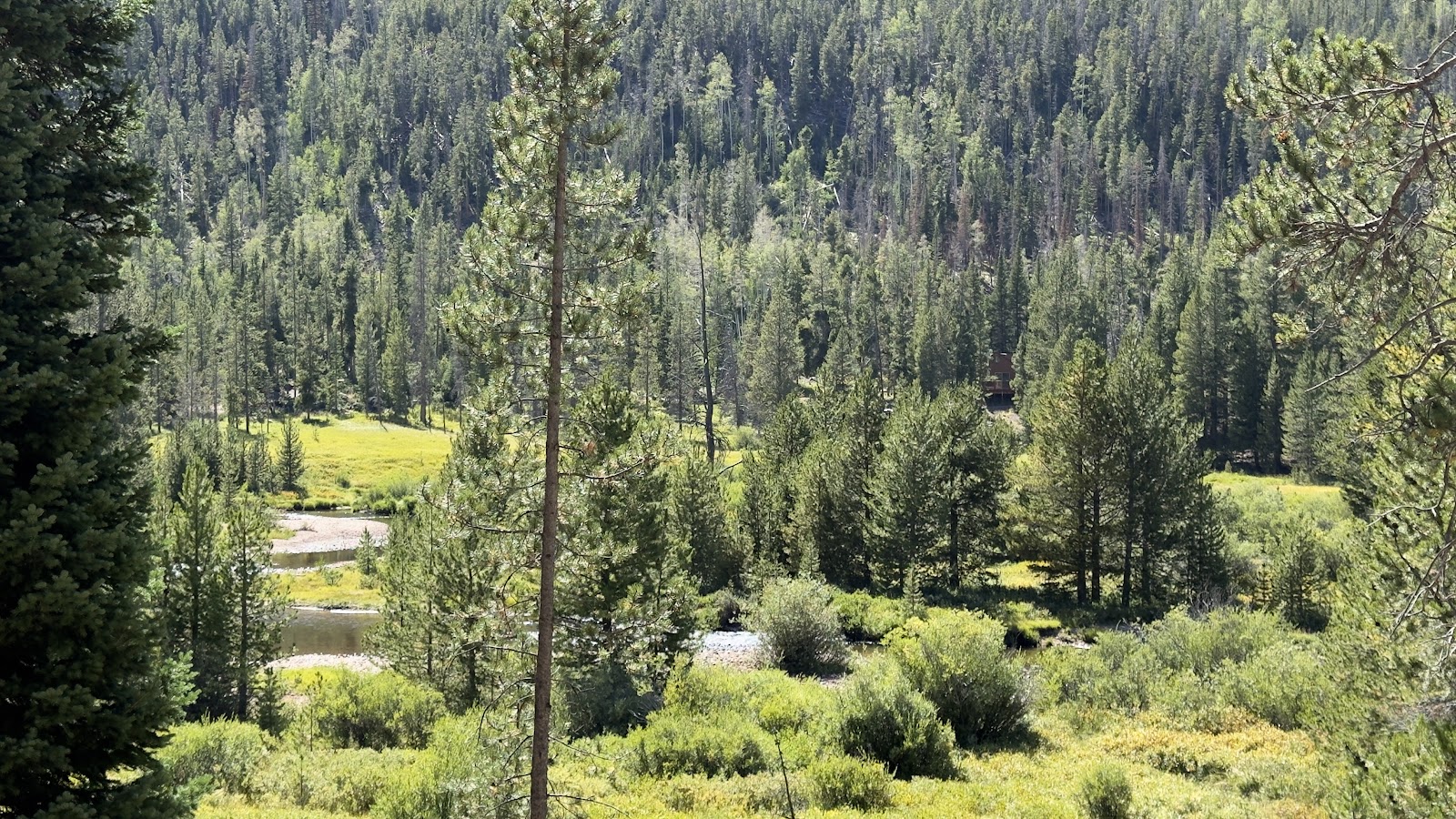 Christmas Meadows Campground