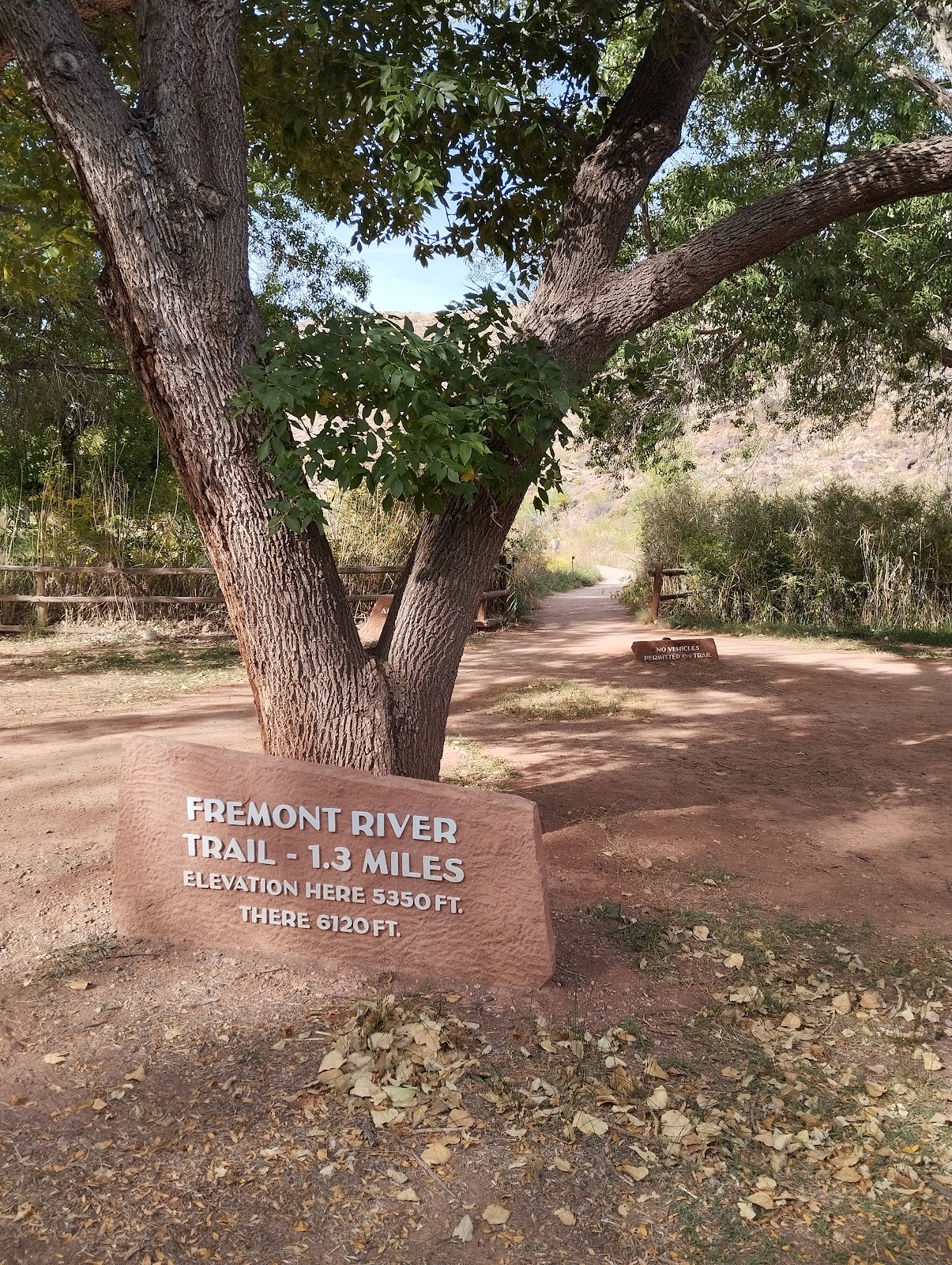 Fruita Campground - Capitol Reef National Park