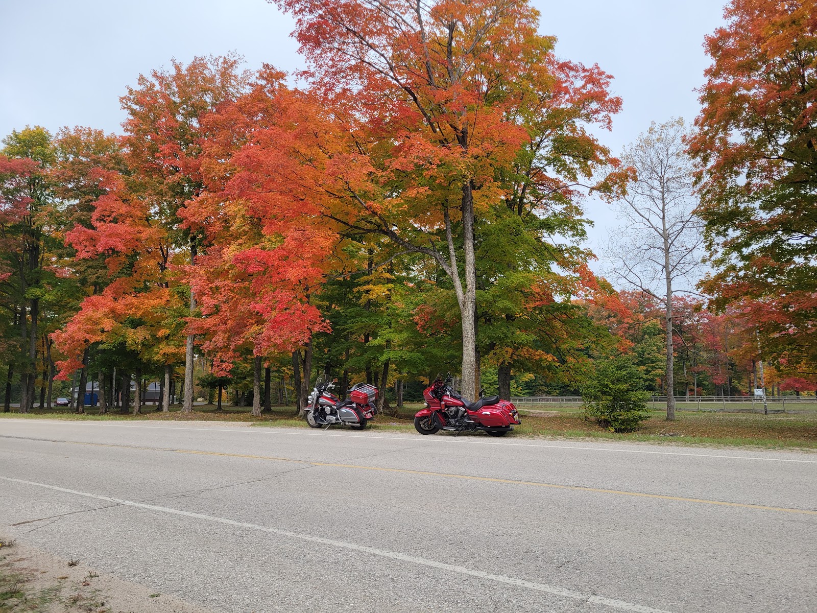 Trout Lake Campground
