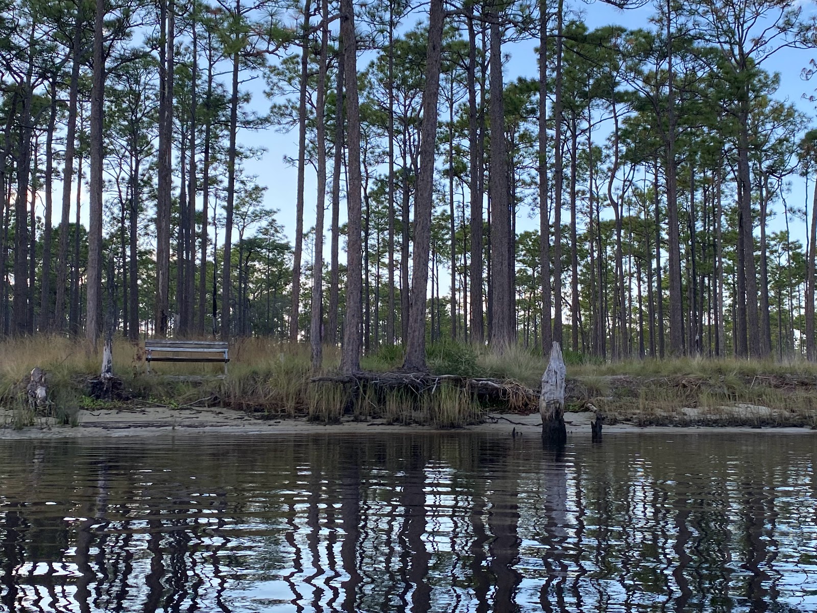 Ochlockonee River State Park