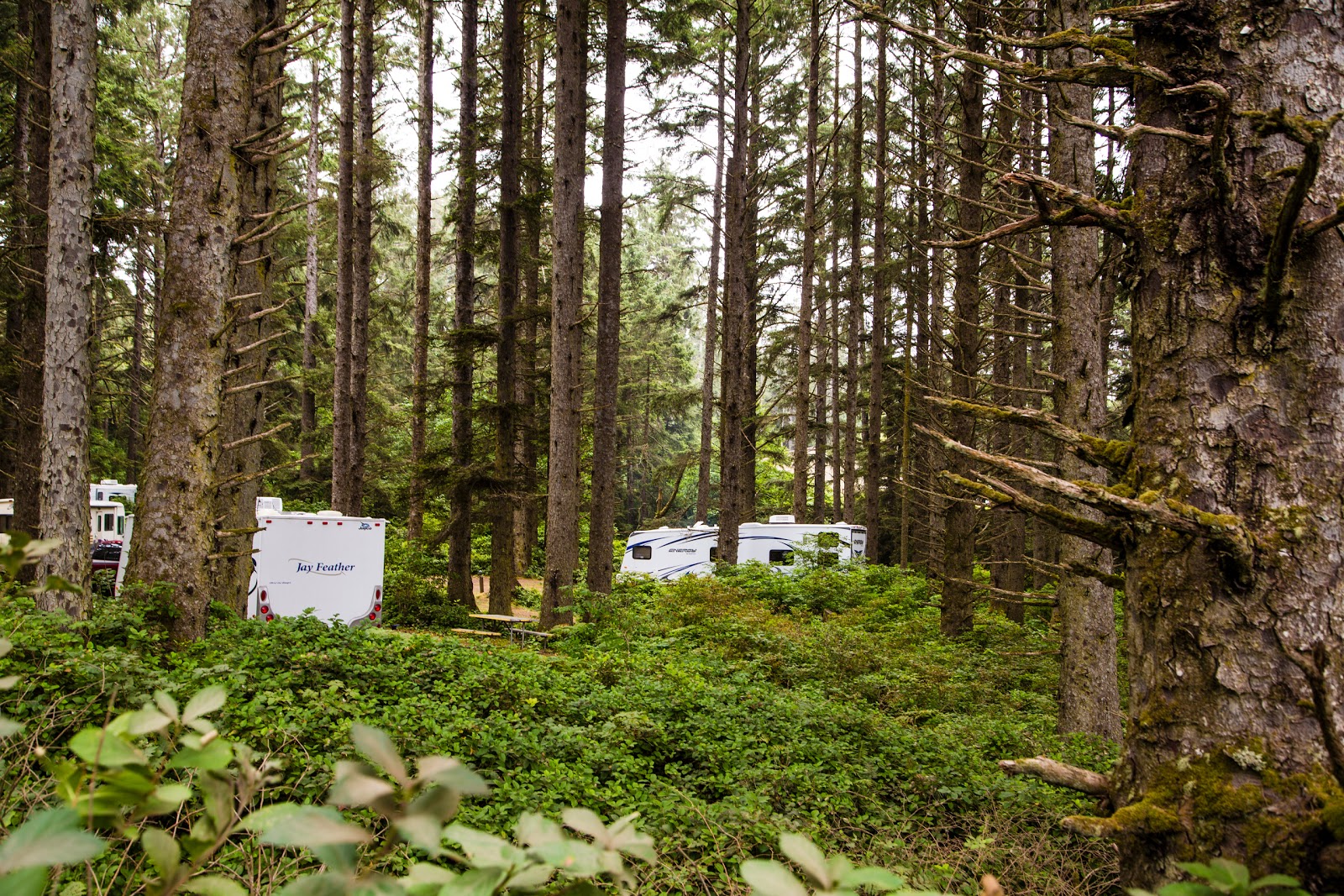 Pacific City RV Resort