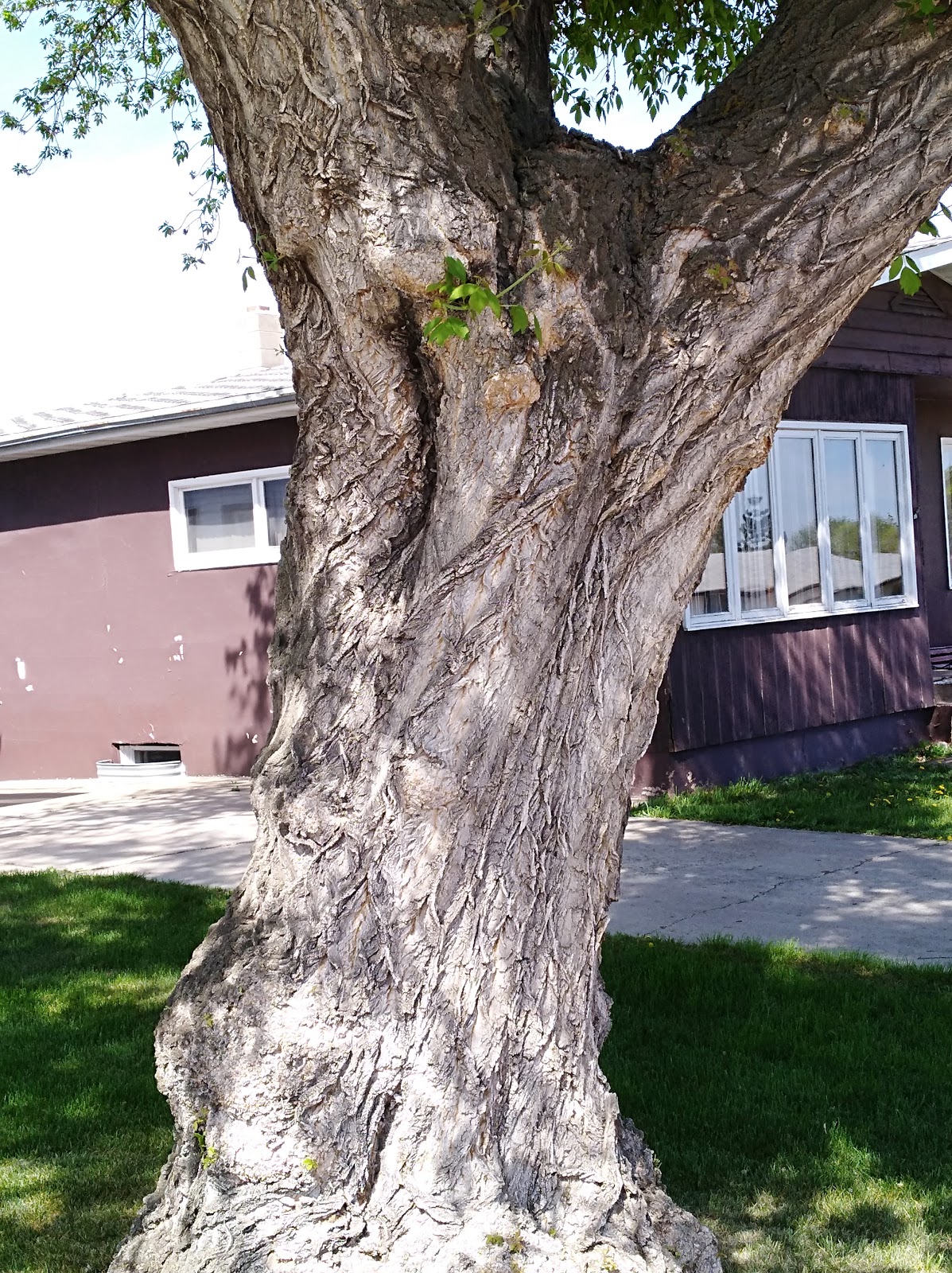 C & S Trailer and RV Court