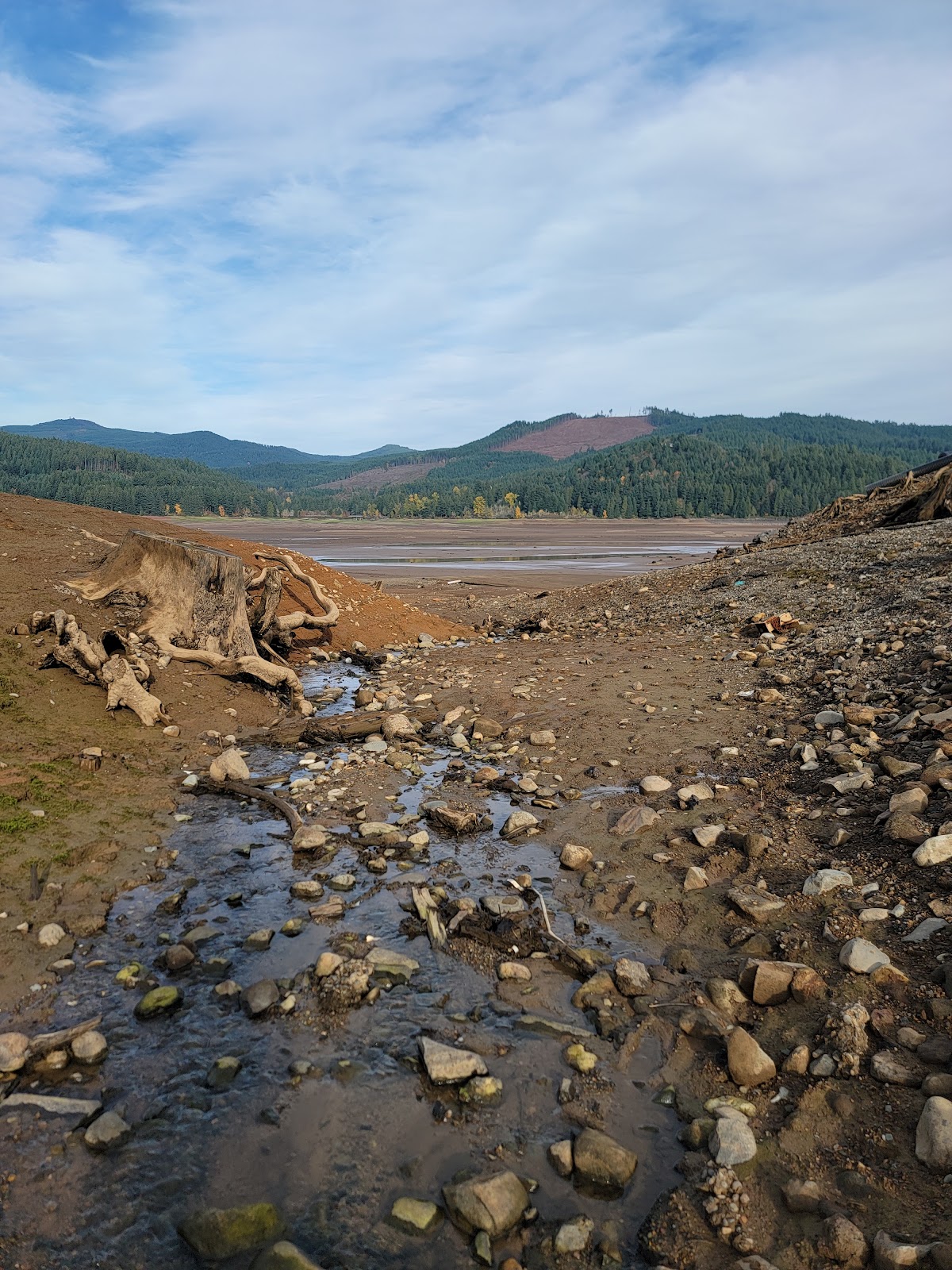 Baker Bay Campgrounds & Marina  a Lane County Park