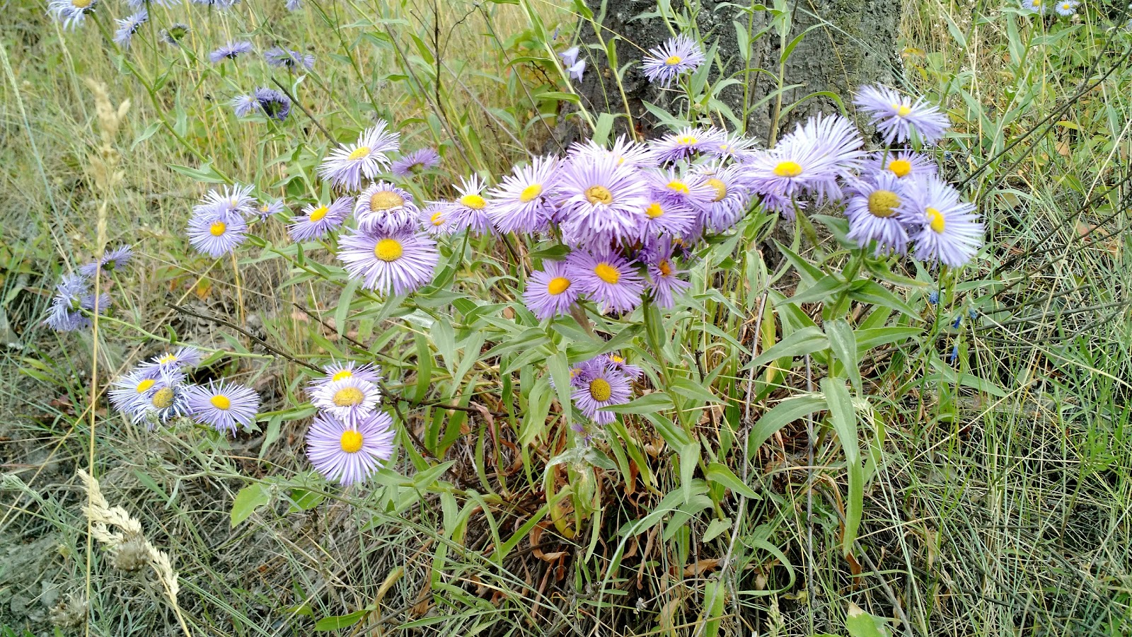 Tobacco River Campground