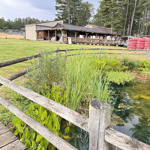 Shenandoah Valley Campground