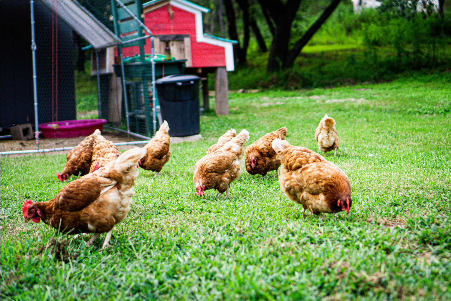 Panoramic Hills RV Park