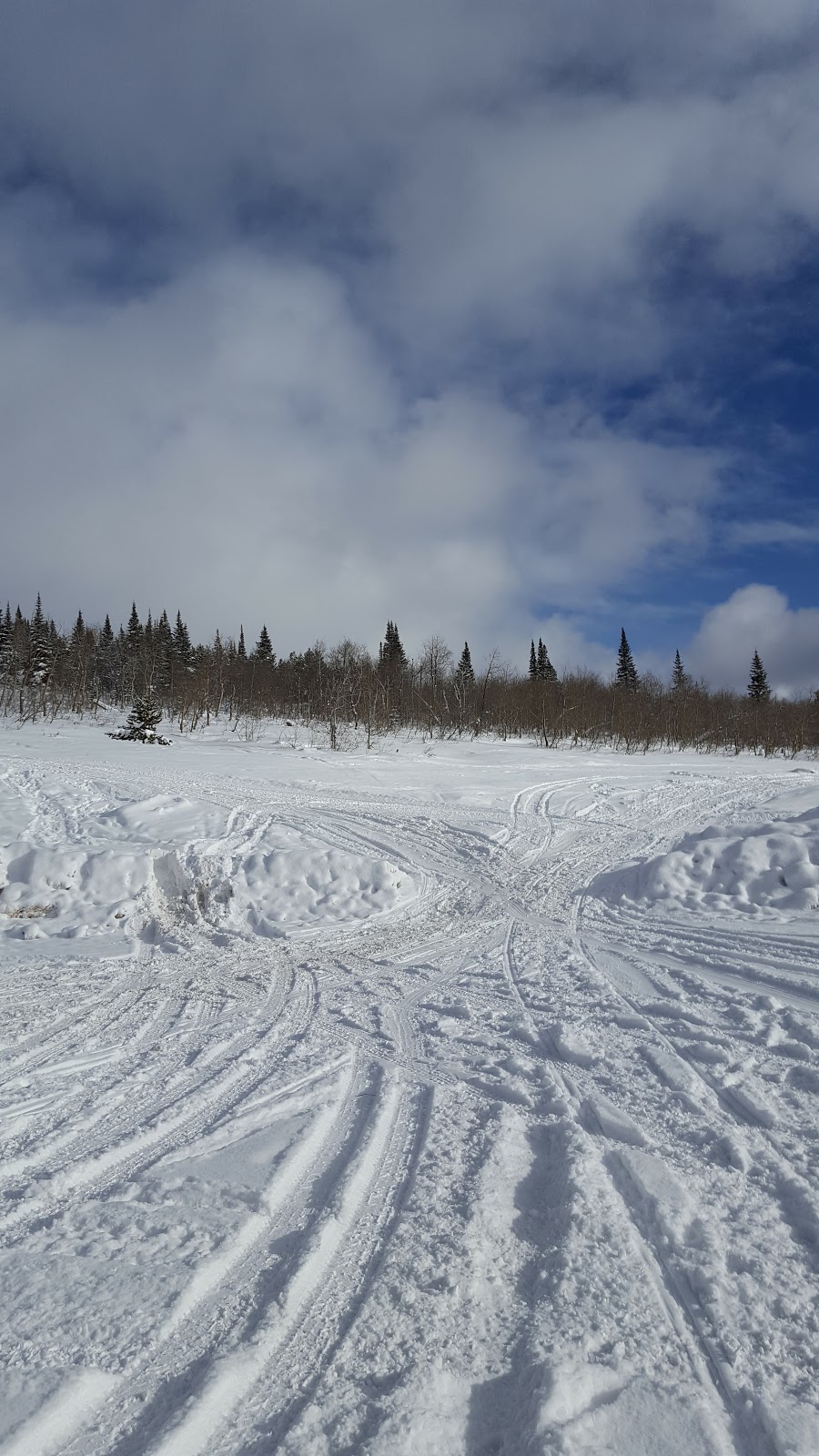Diamondfield Jack Campground