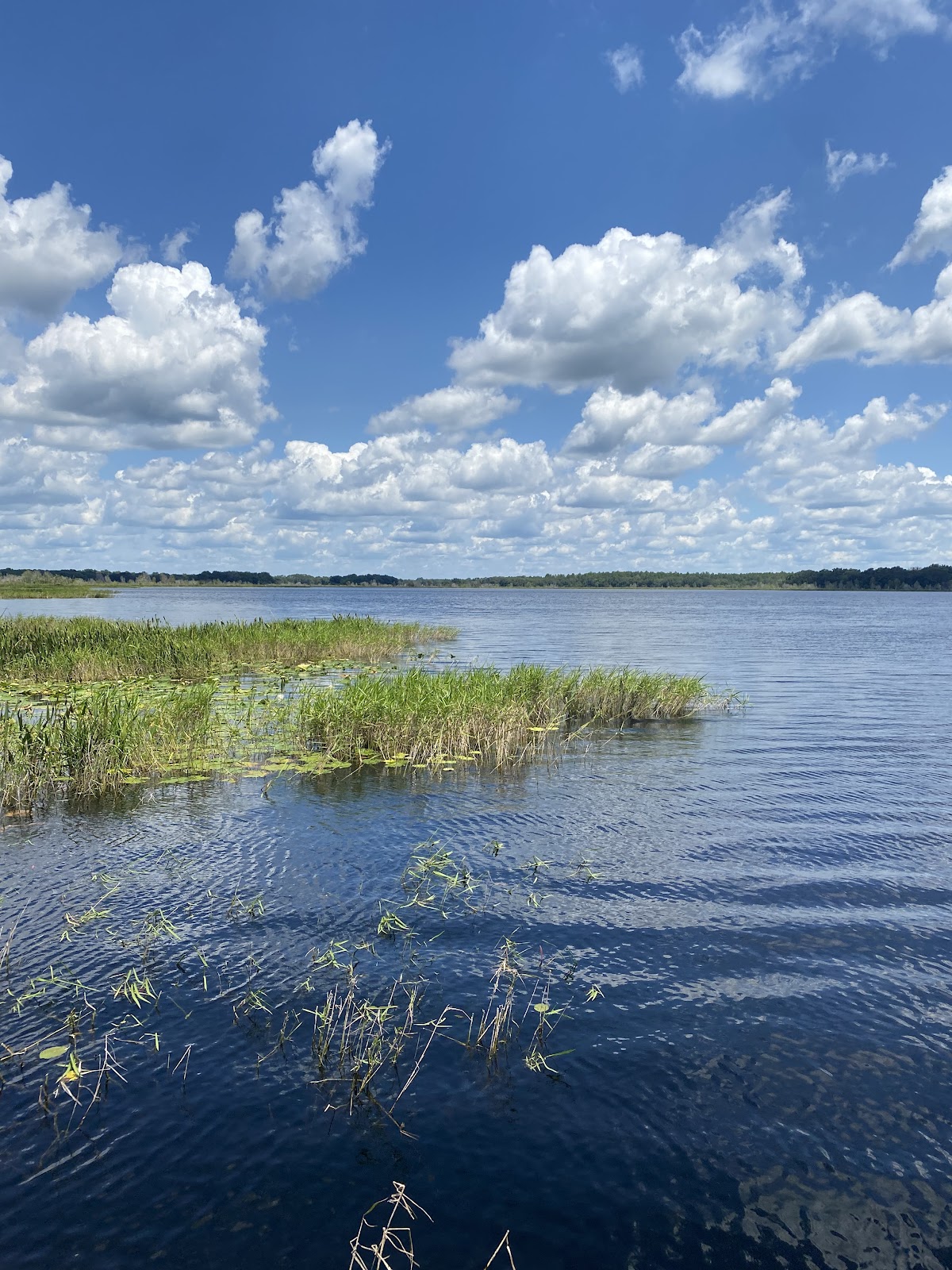 Lake In The Forest Resort & RV