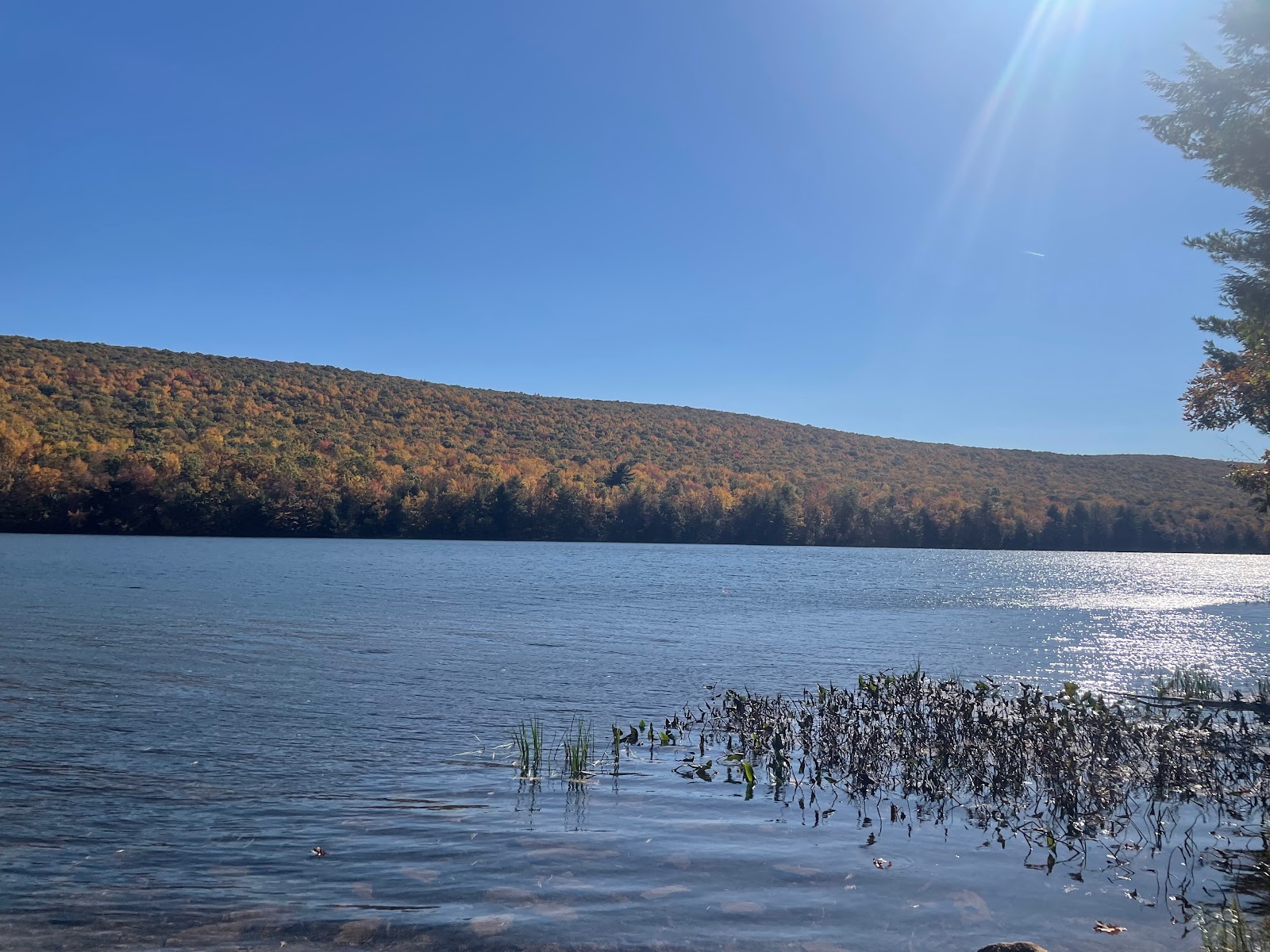 Mauch Chunk Lake Park Camping
