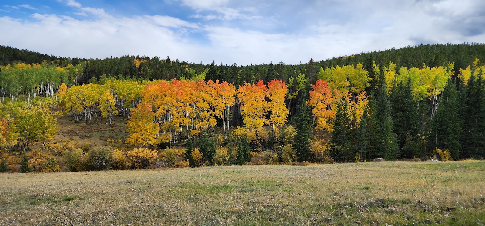 Hettinger Group Campground