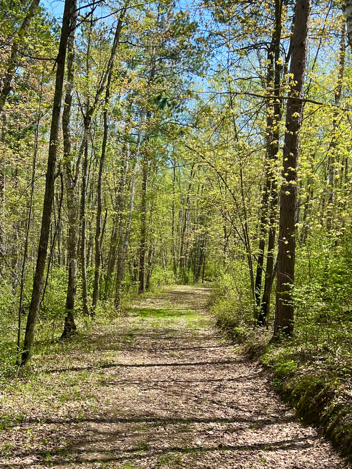 Stony Brook Horse Campground