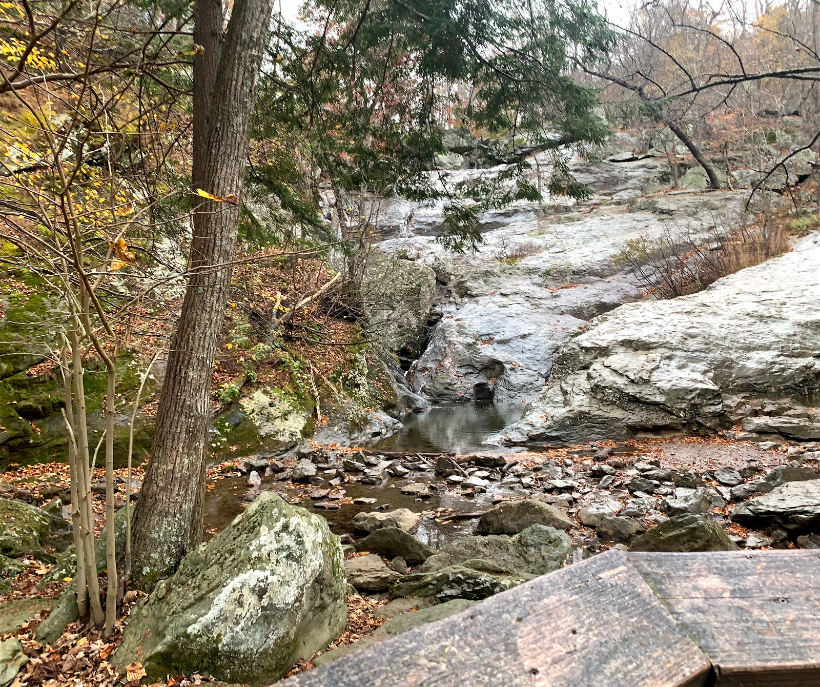 Houck - Cunningham Falls State Park