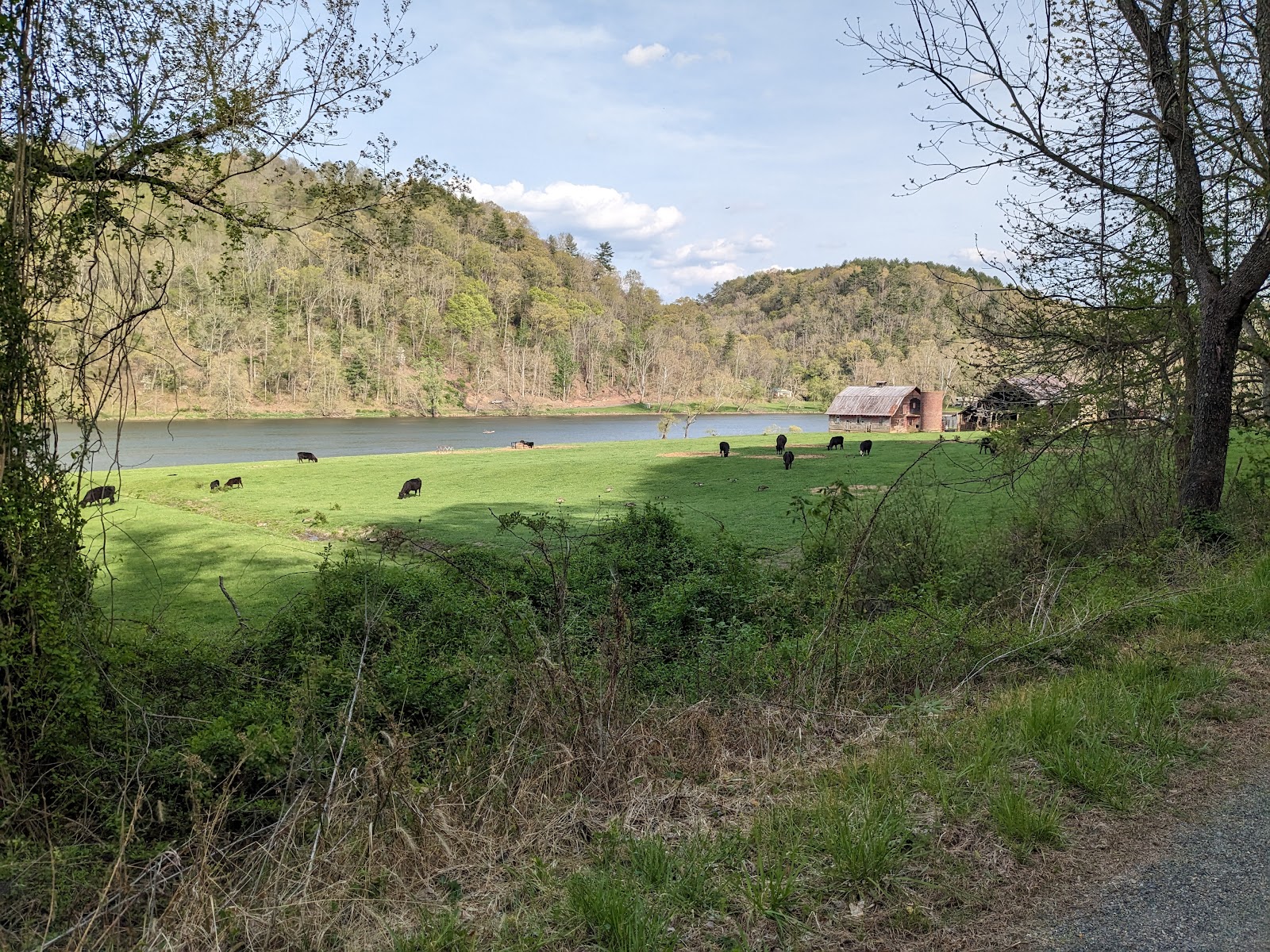 Double Shoals Campground