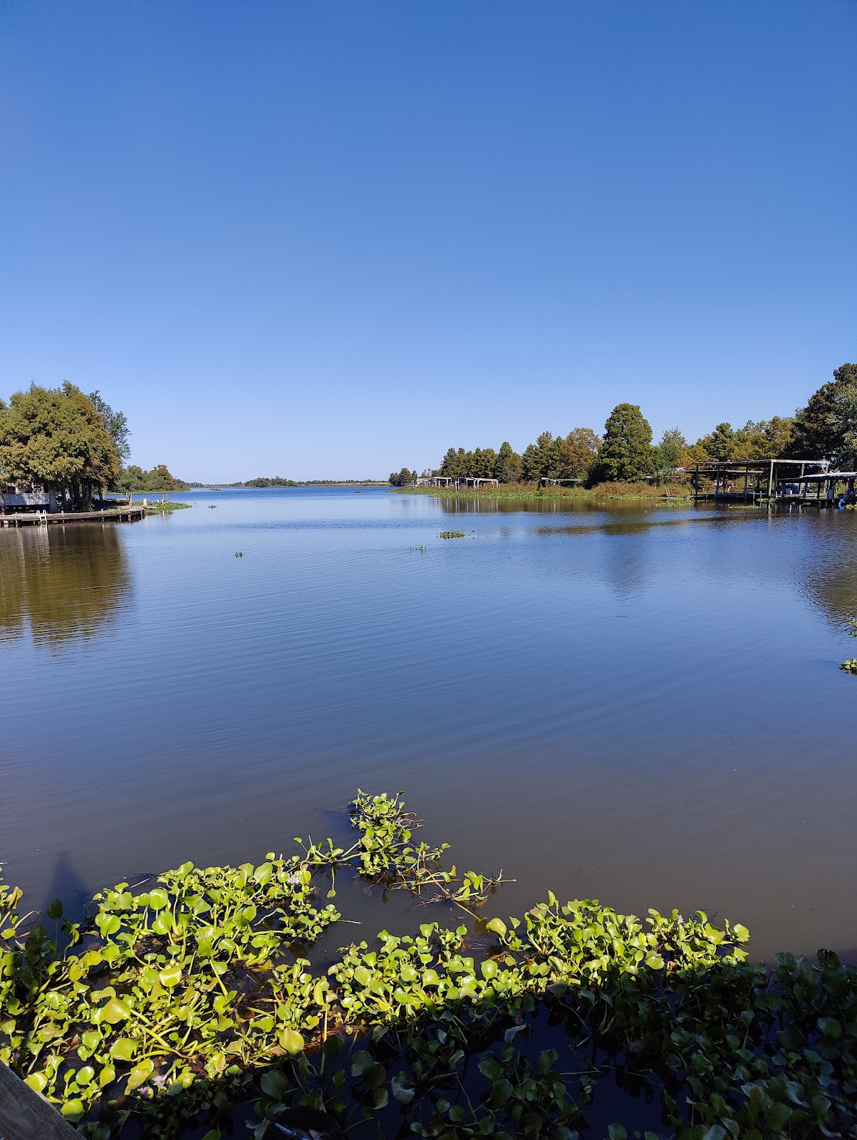 Bayou Segnette State Park