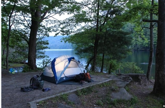 Sea Horse Campground