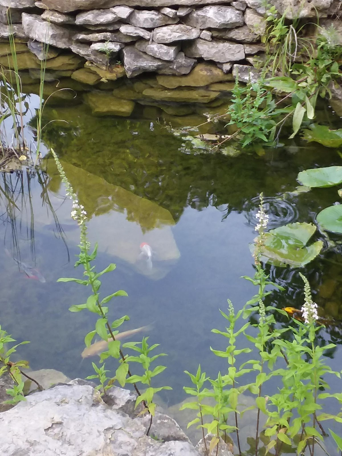 Willow Run Mobile Home Park