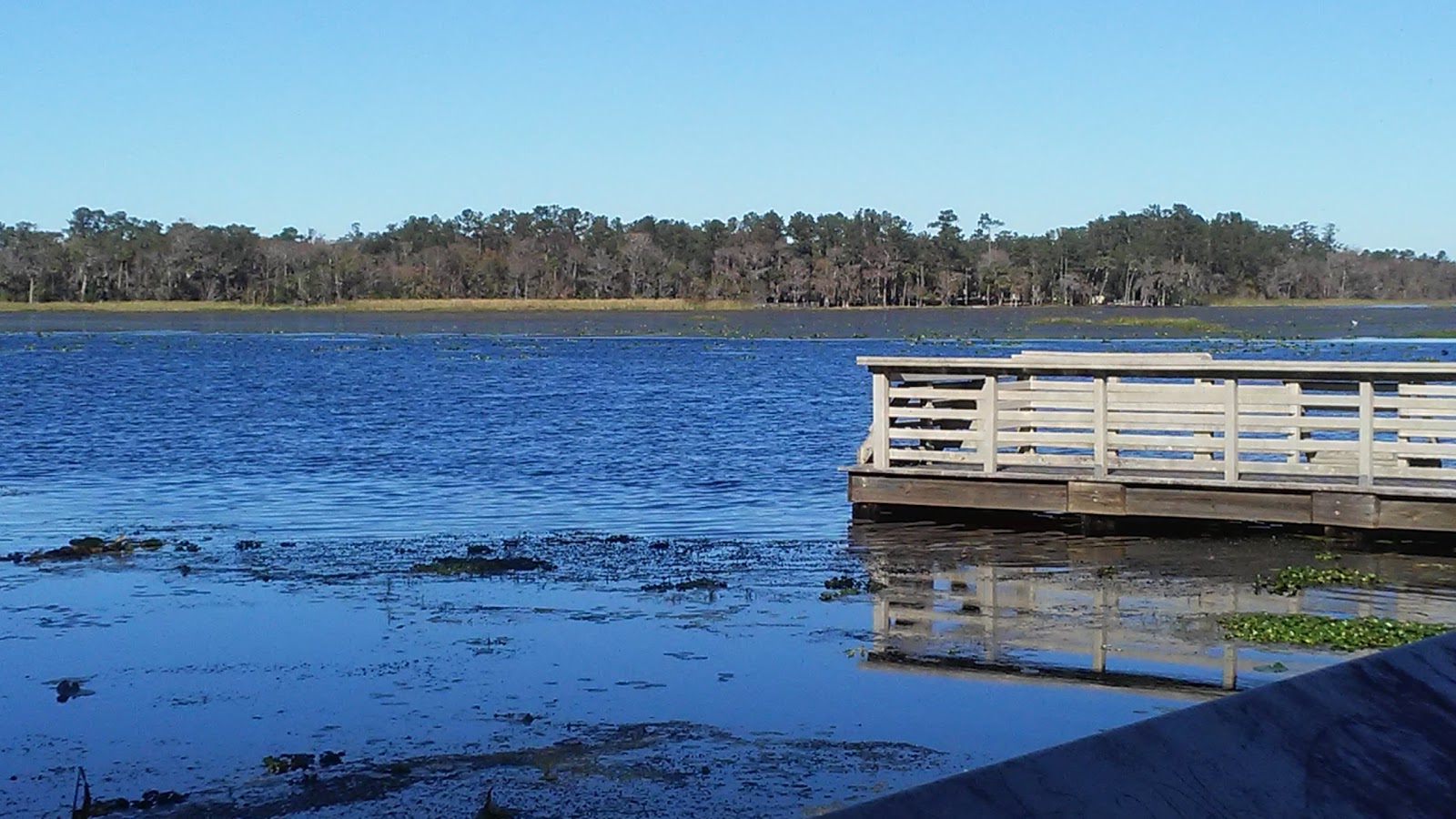 Lake Eaton NF Campground
