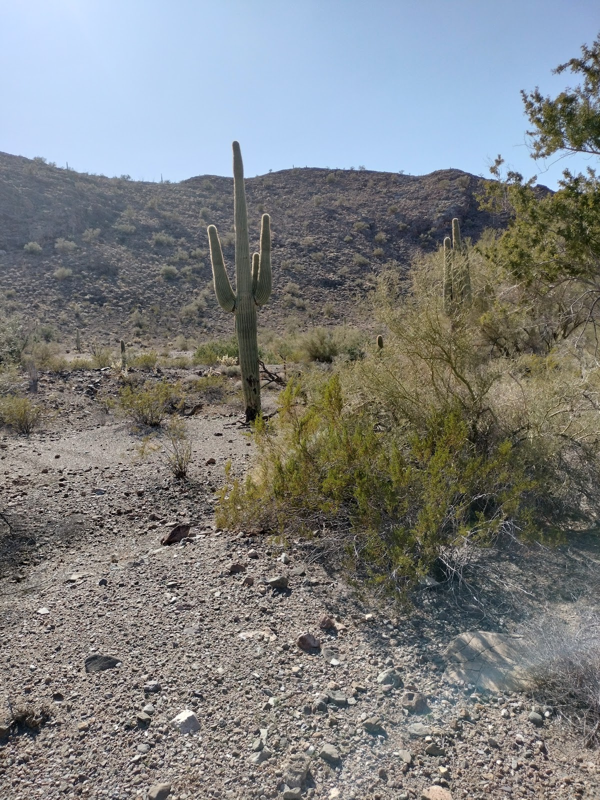 La-Z-Daze RV & Mobile Home Park