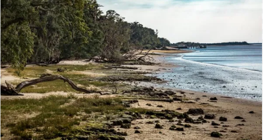 Cumberland Island National Seashore Camping Permits