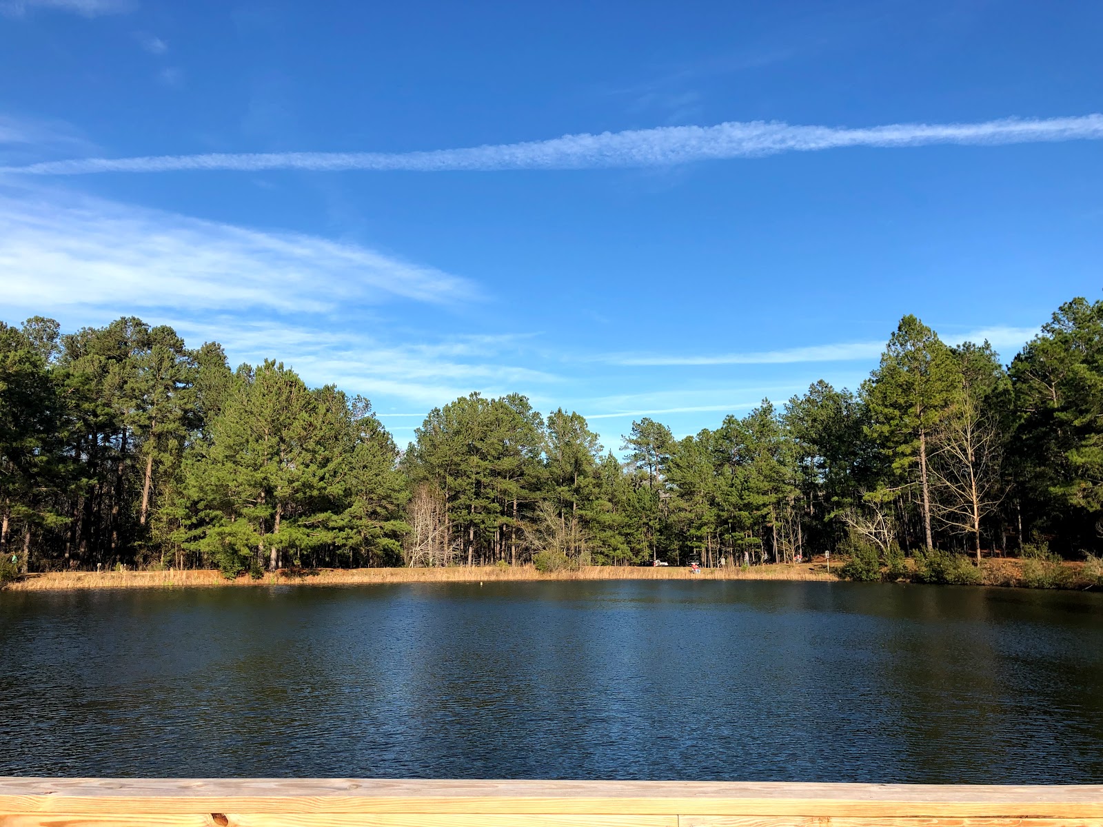 General Coffee State Park Campground