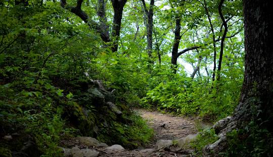 Fort Mountain State Park