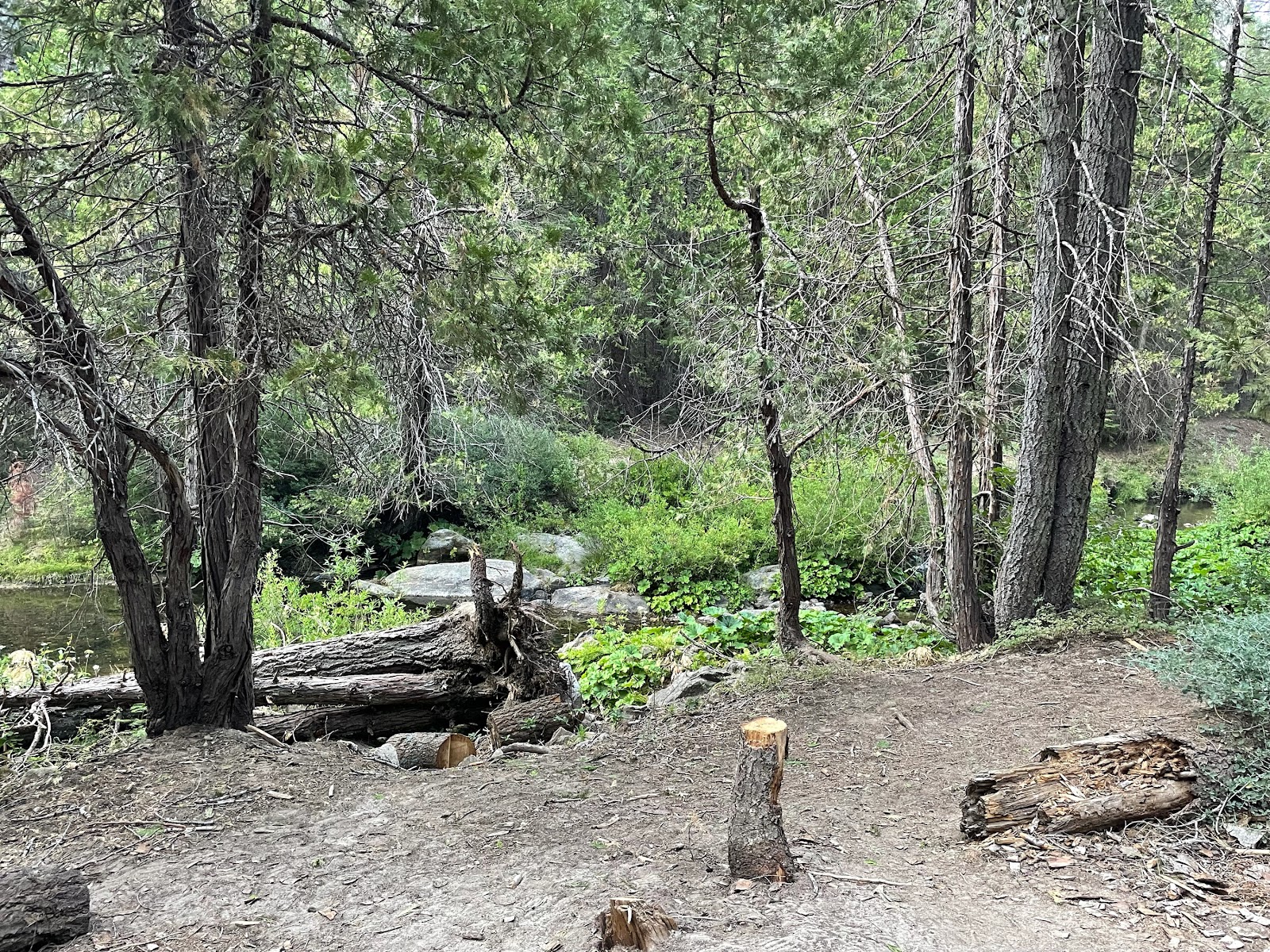Texas Flat Group Campground