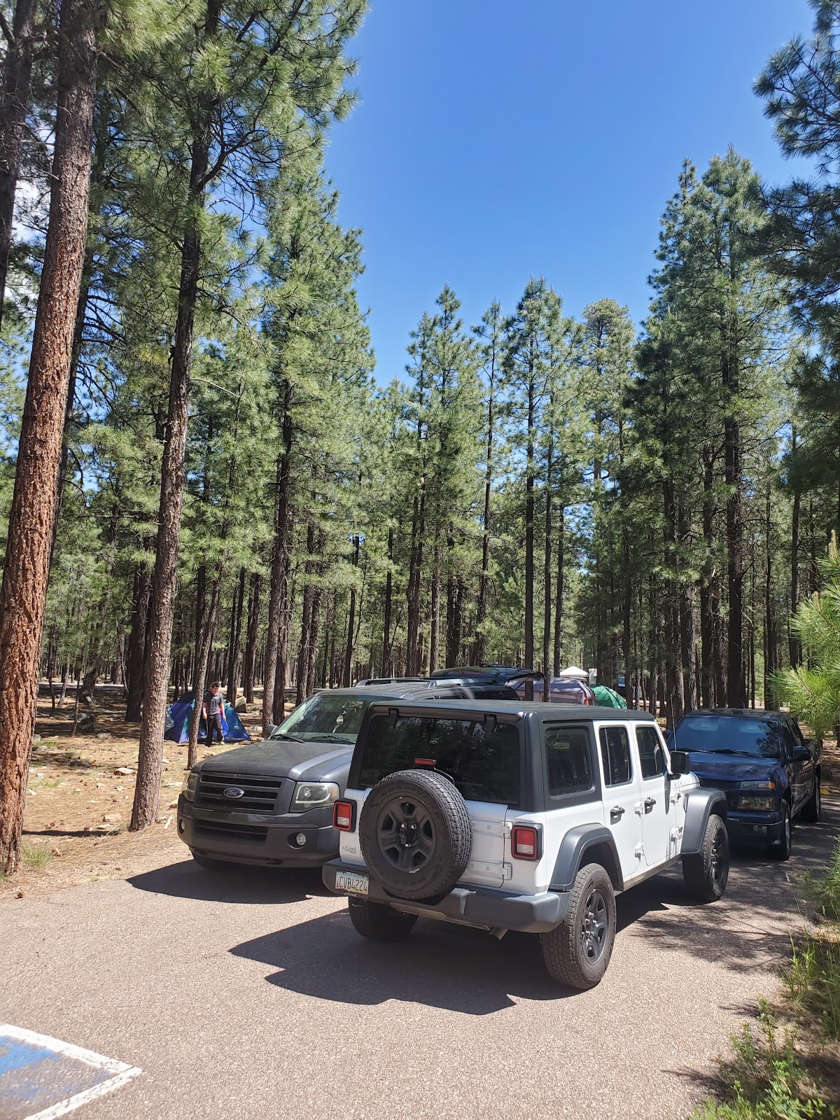 Sinkhole Campground (Forest Service)