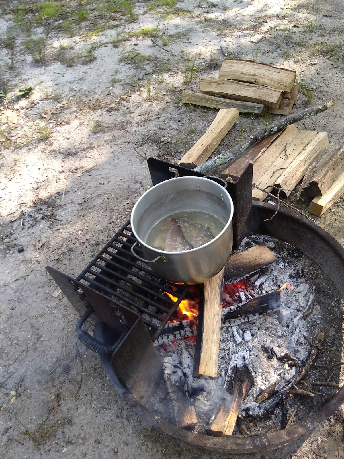 Allaire State Park Campground
