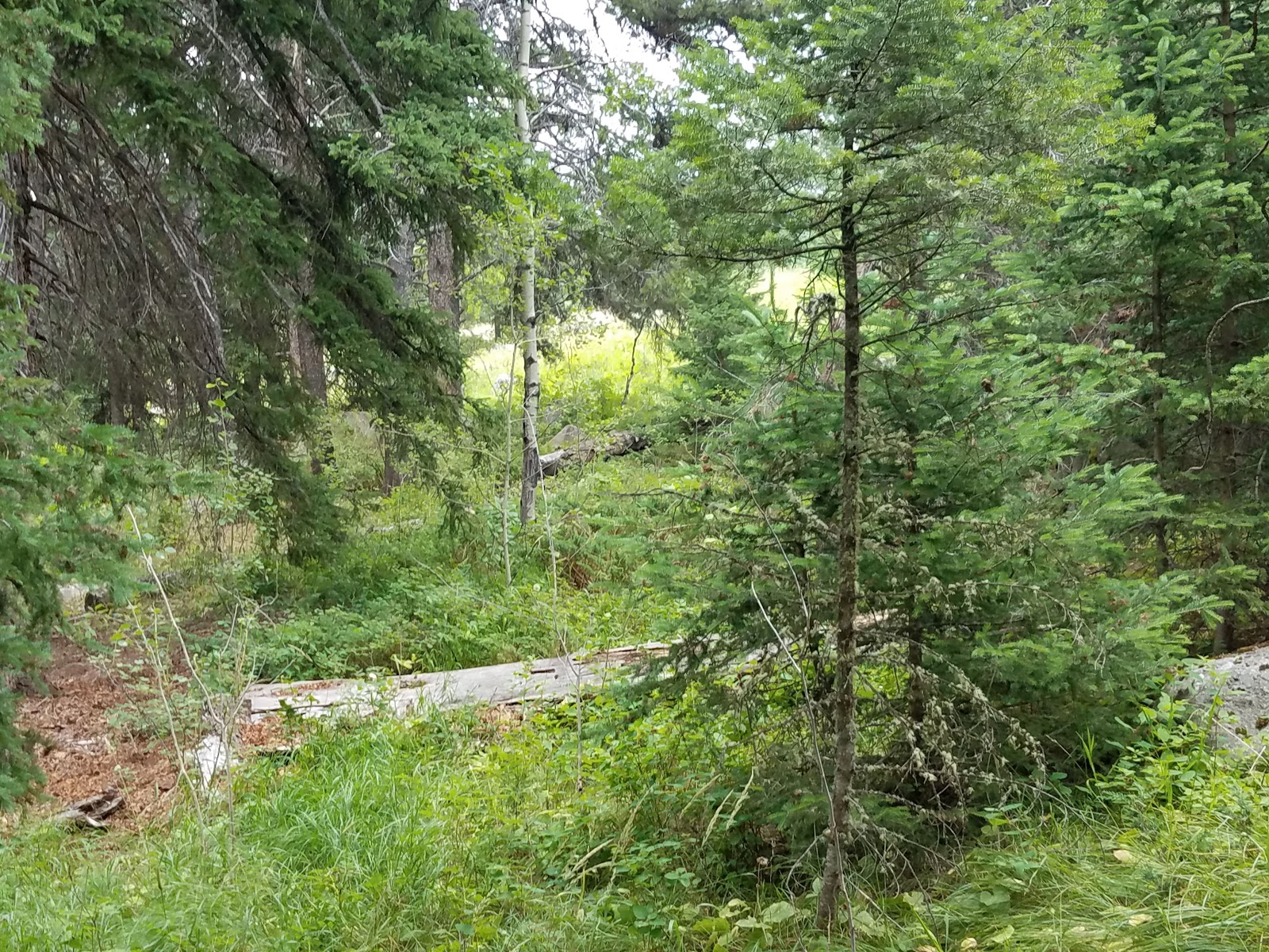 Hells Canyon Campground