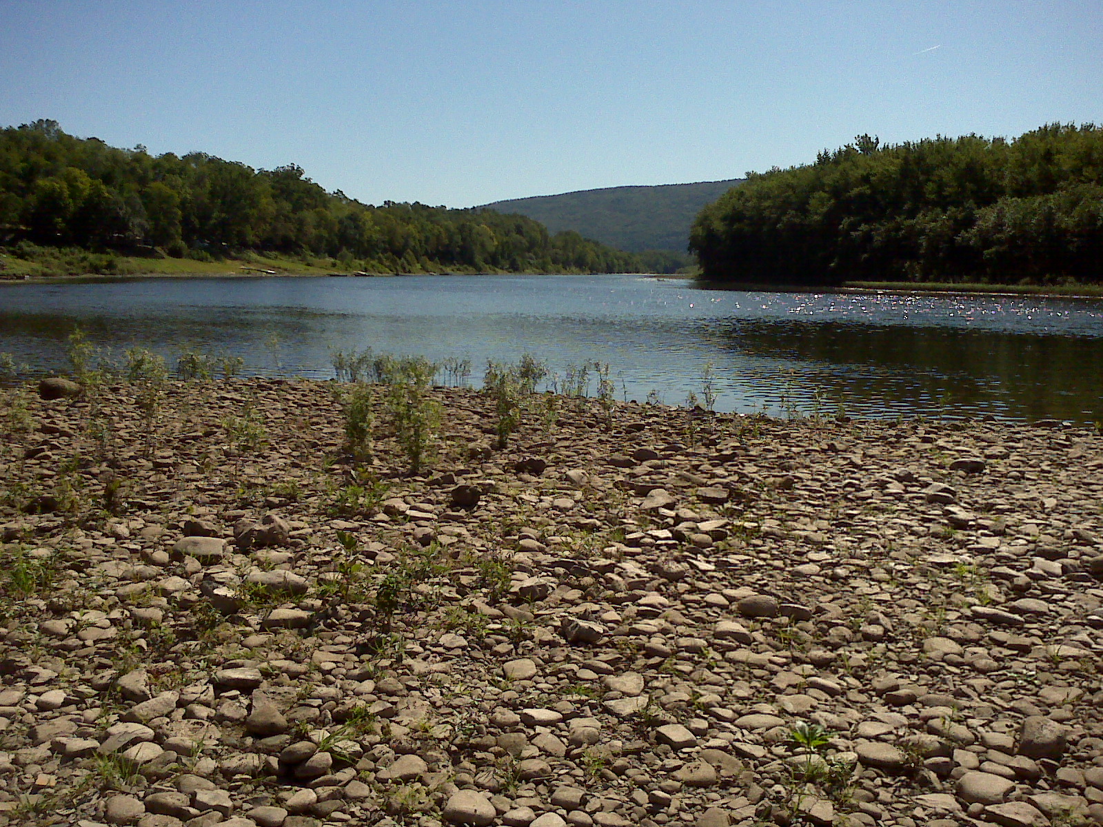 A1 Susquehanna Campground