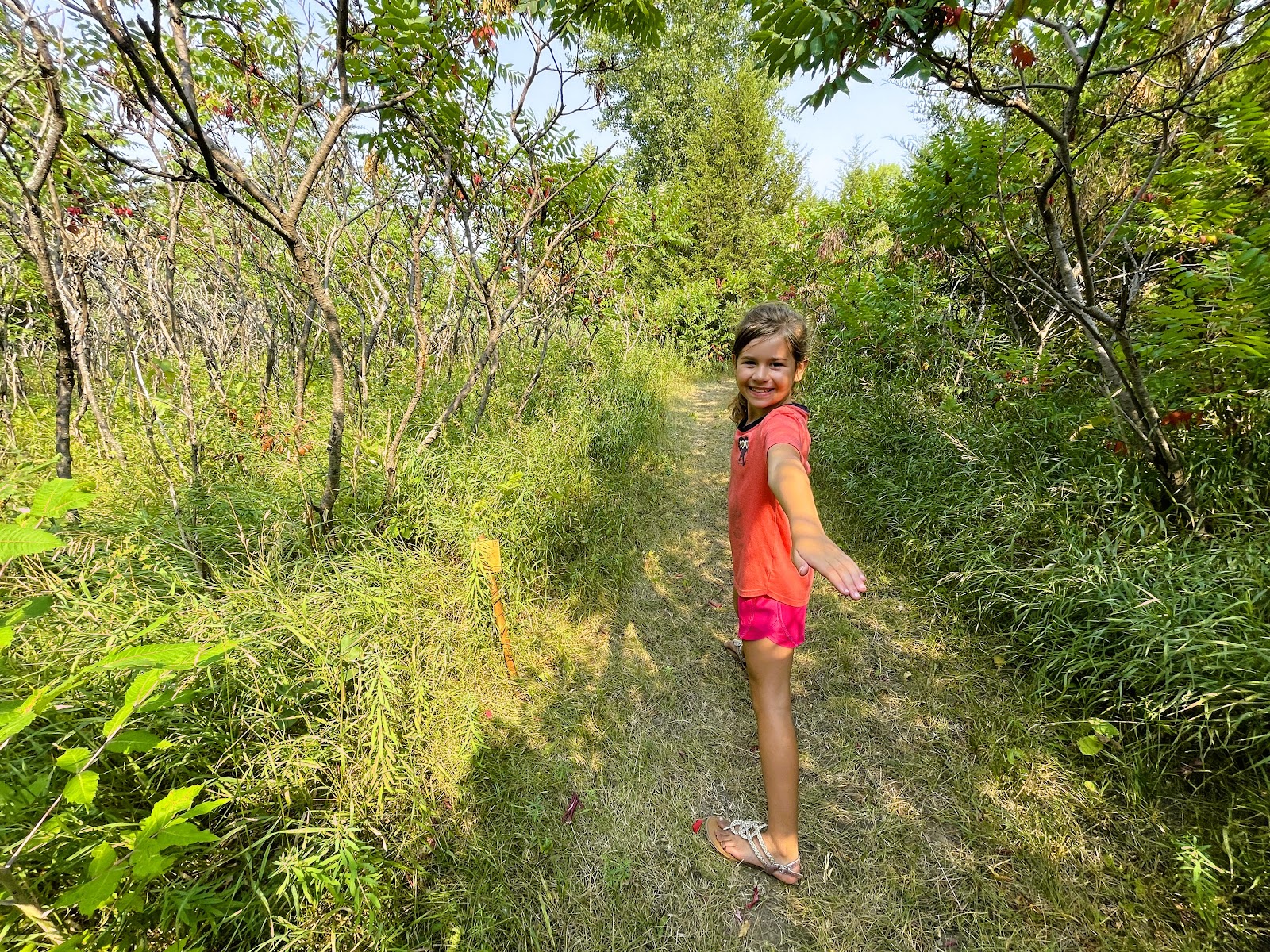 Swan Lake Resort & Campground