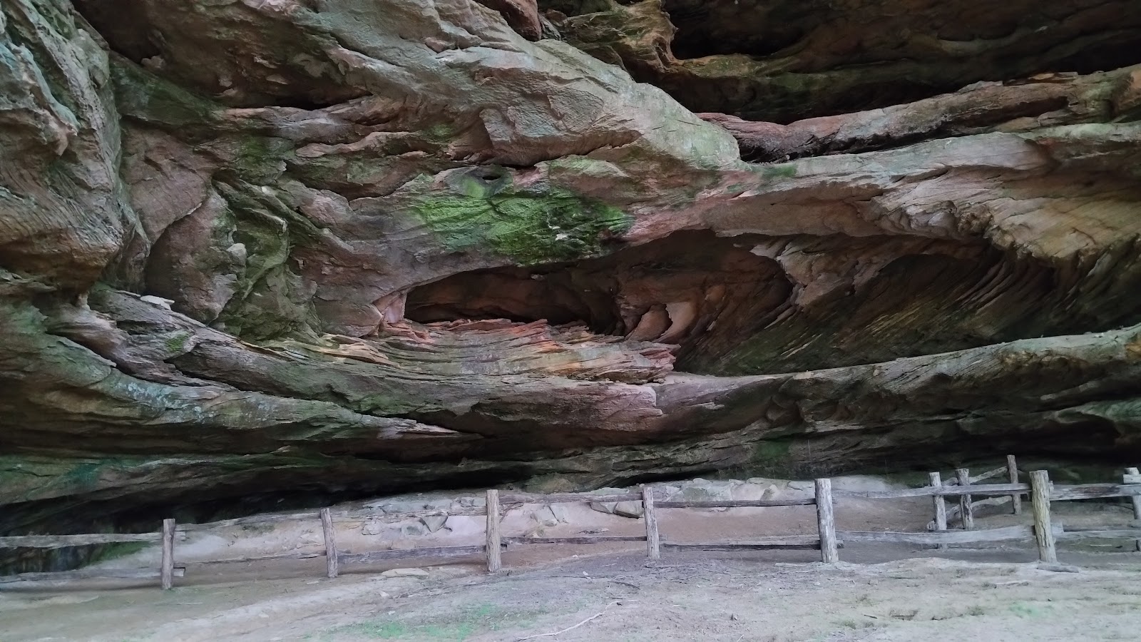 Spruce Creek Campground & Stables