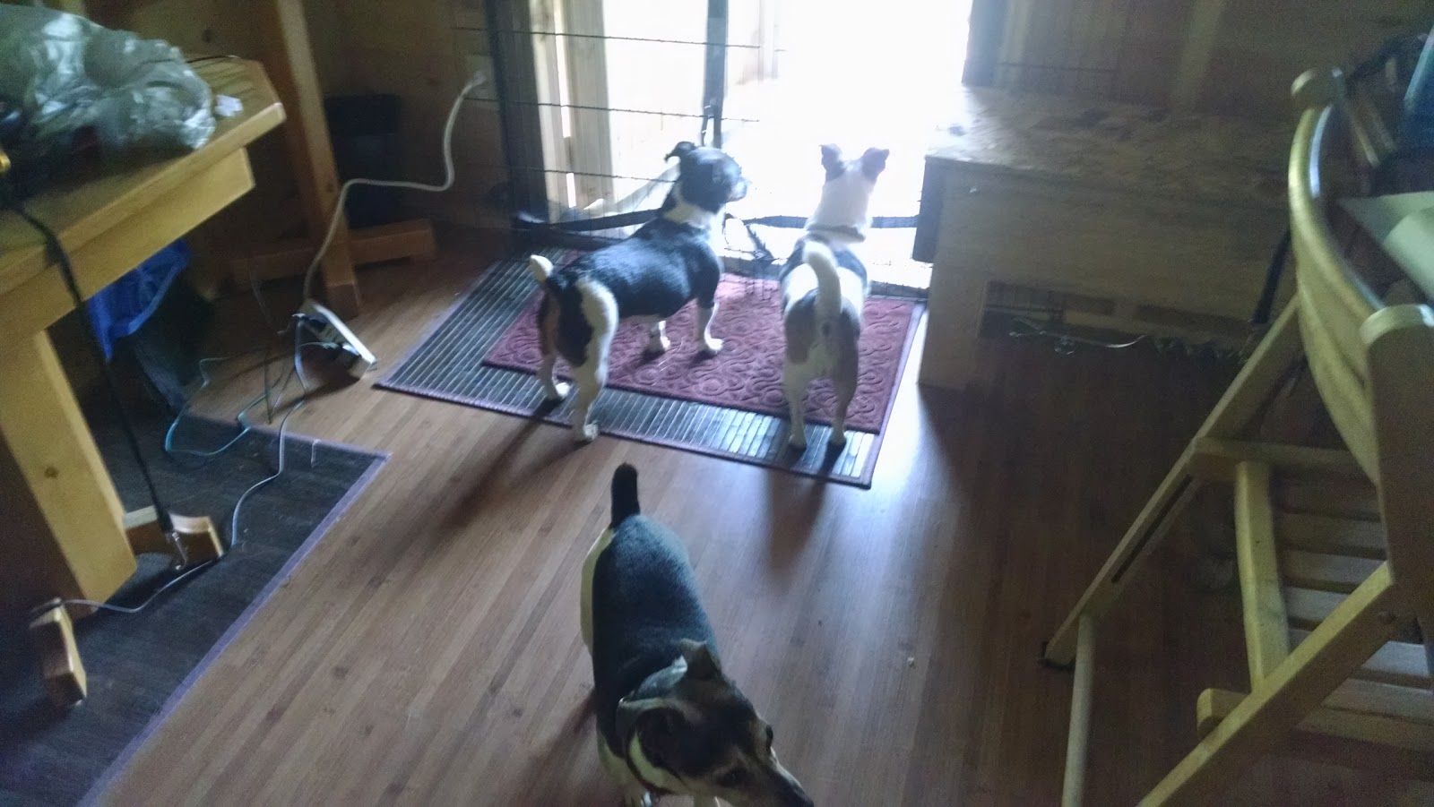 Campers Paradise Inc