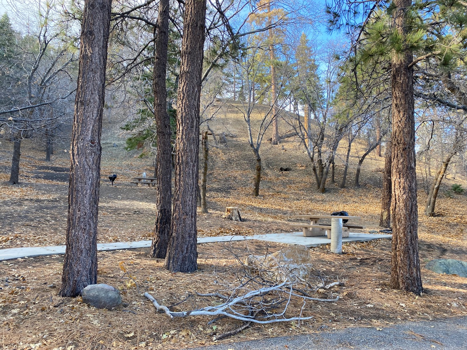 Peavine Campground