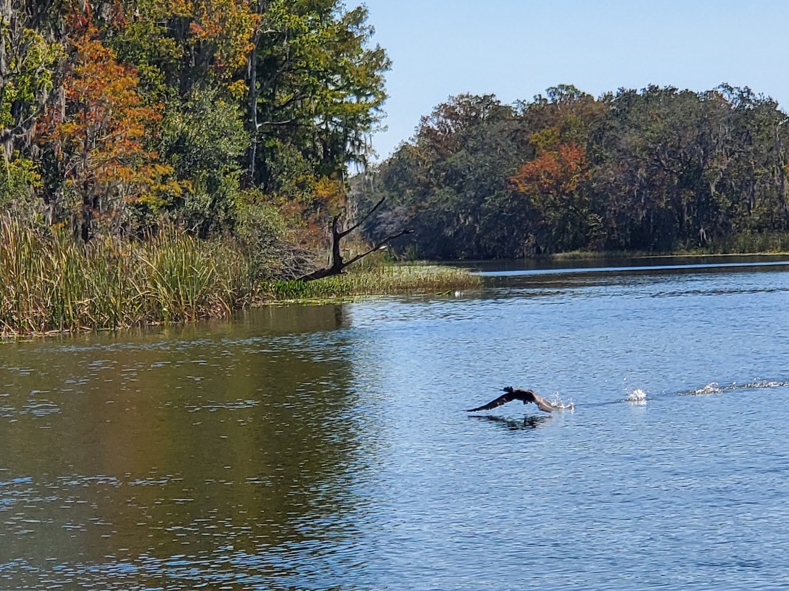 Haines Creek RV Village