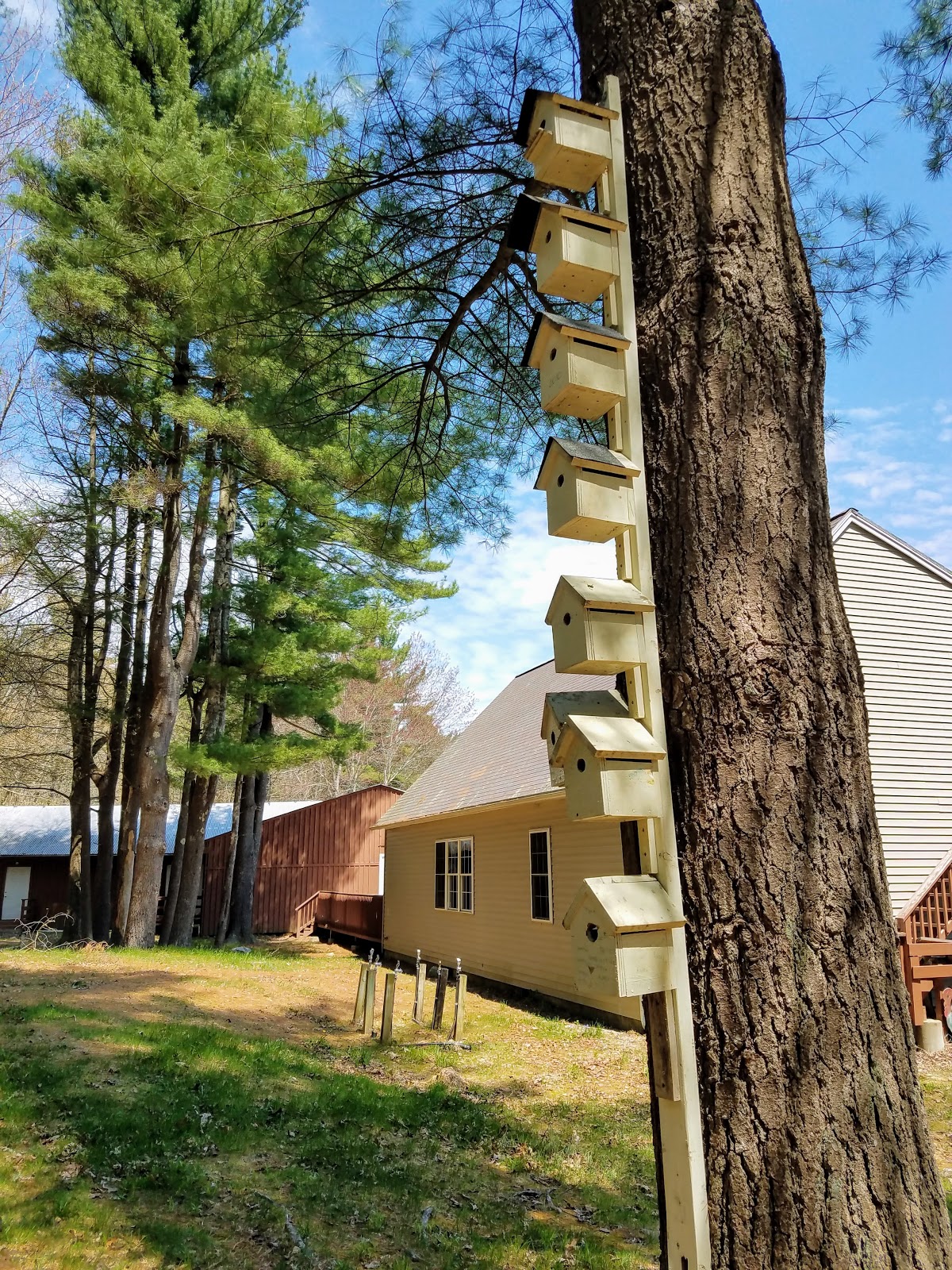 Applewood Campgrounds