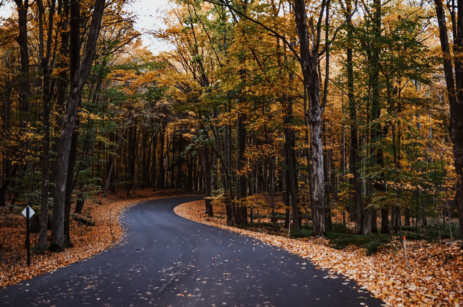 Big Eau Pleine County Park