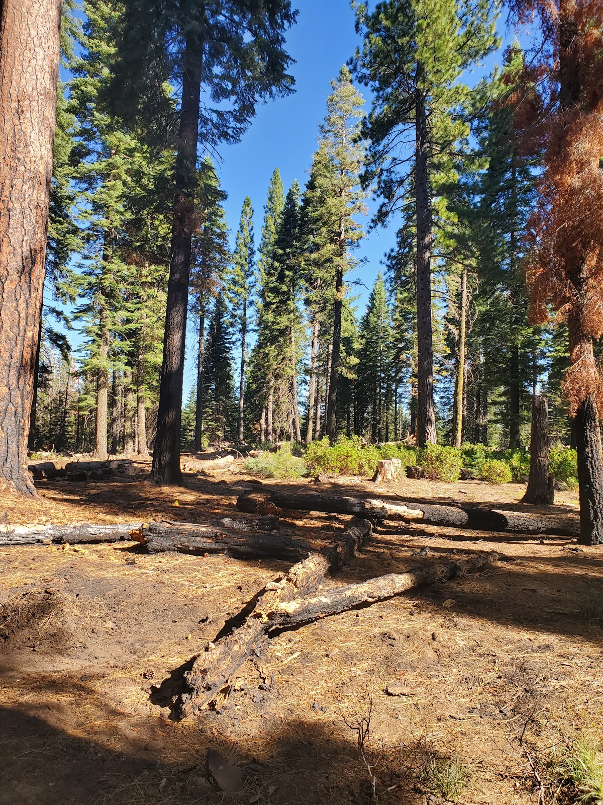 South Fork Group Campground