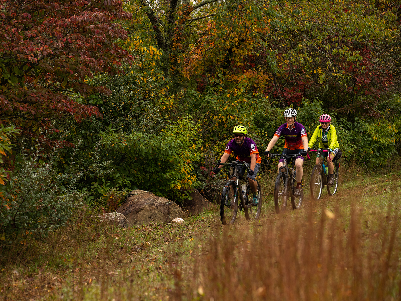 Chantilly Festival Farm and RV Campground